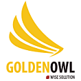 Top Software Development Companies in the UK - Golden Owl Solutions