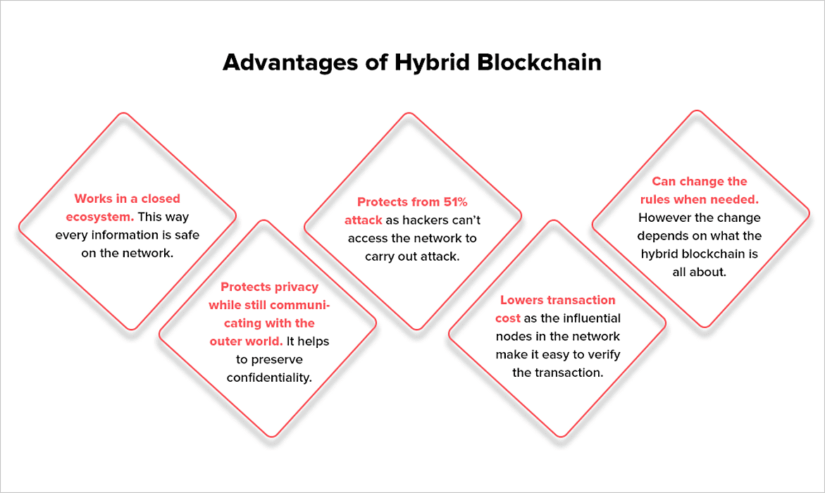 Hybrid Blockchains