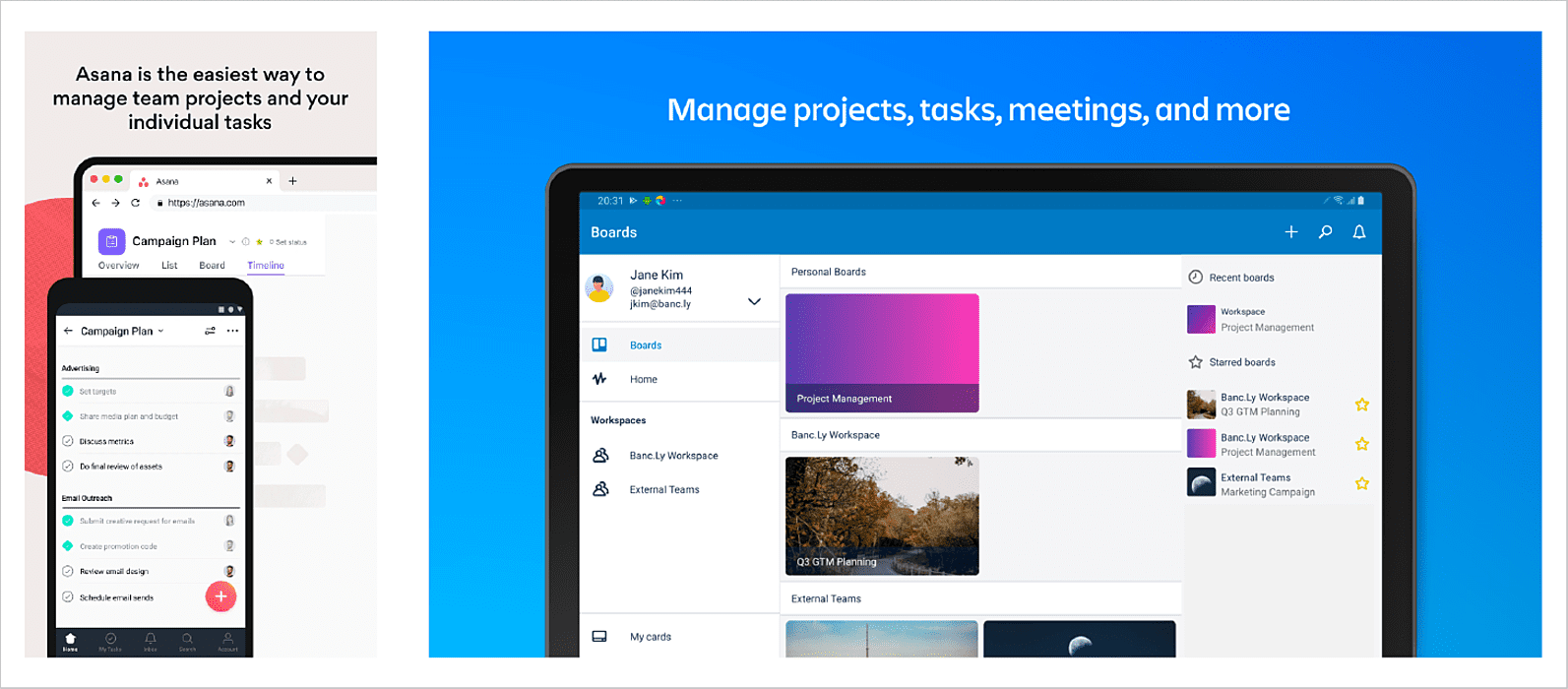 trello and asana comparison